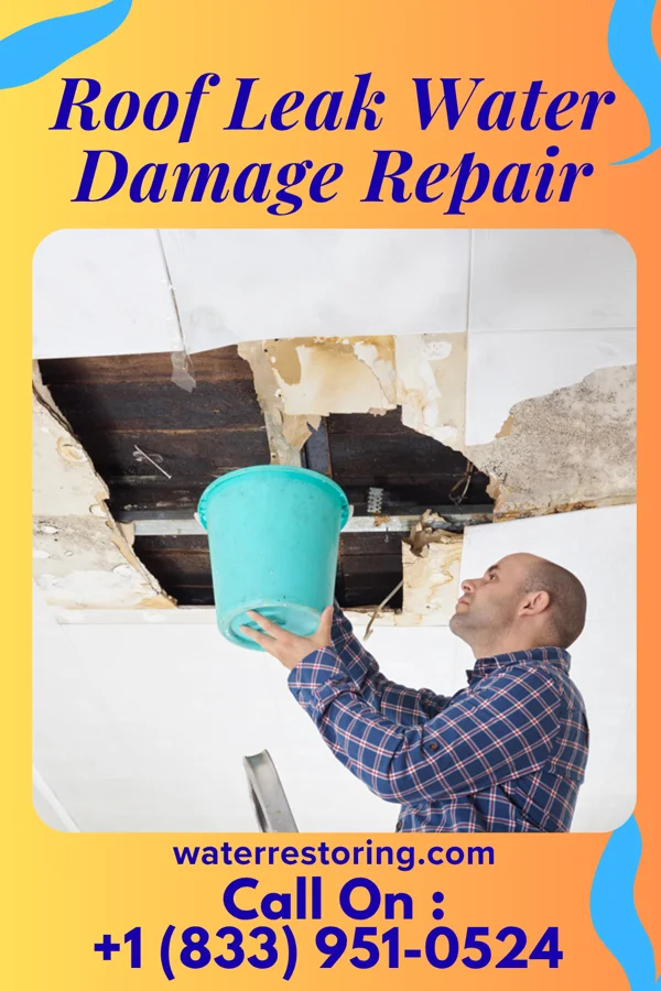 Roof Leak Water Damage Repair in Sandy Valley, NV